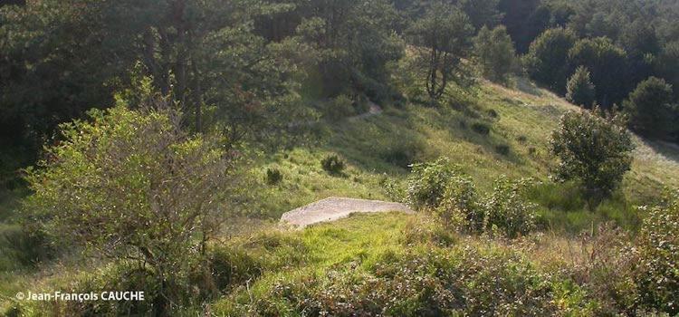 Camping Le Cote D'Opale Кюк Экстерьер фото